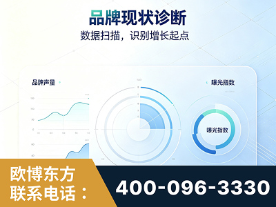 德宏傣族-品牌现状诊断